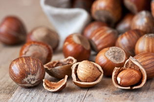 Illustrative image of the article Hazelnut: 6 Health Benefits, Nutrition Info & Recipes