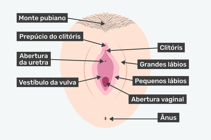 Imagem ilustrativa número 2