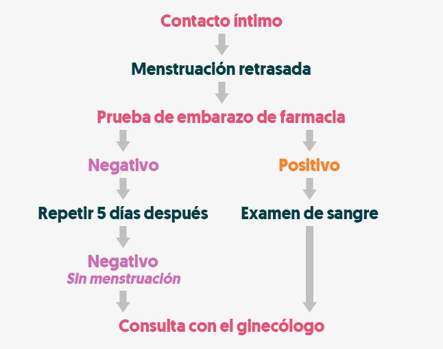 Calculadora para saber si esta embarazada Tua Saude