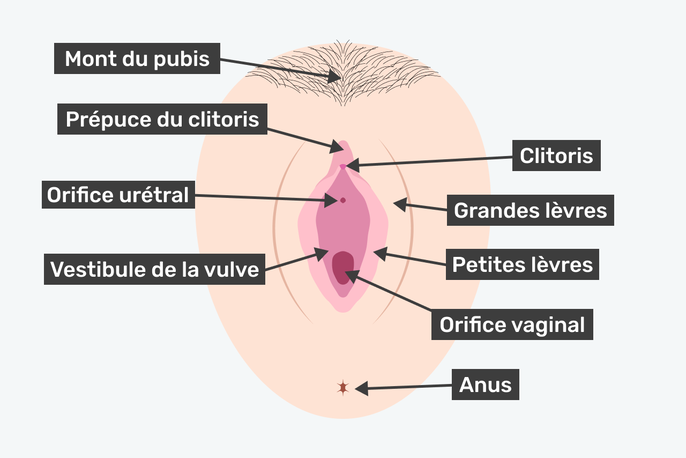 Imagem ilustrativa número 4