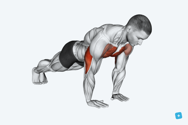 Imagem ilustrativa número 21