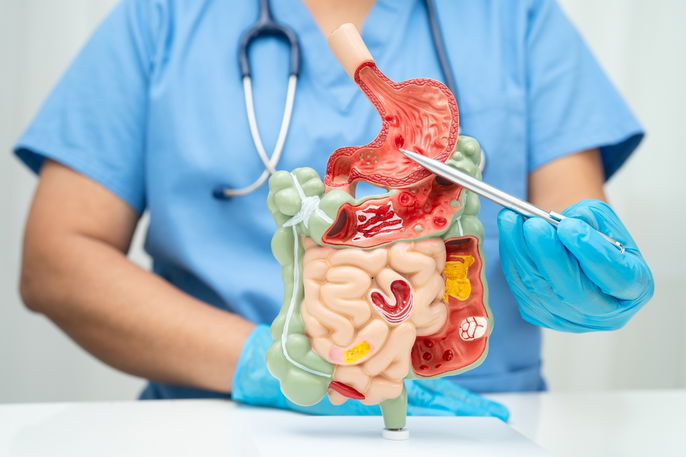 Imagem ilustrativa número 1