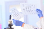 Illustrative image of the article How many chromosomes do humans have?