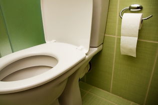 Illustrative image of the article Why Is My Poop Black? Top 10 Causes (& What to Do)