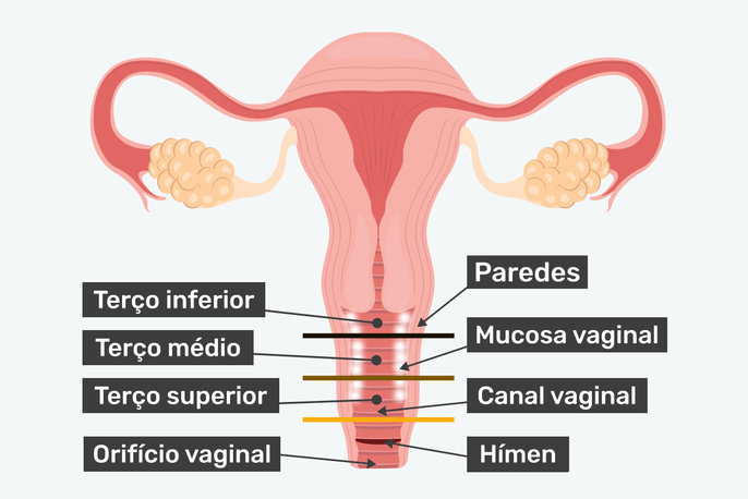 Imagem ilustrativa número 1