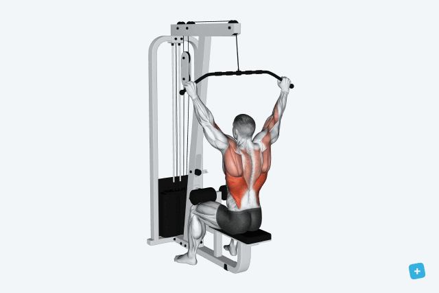 gif of lat pulldown
