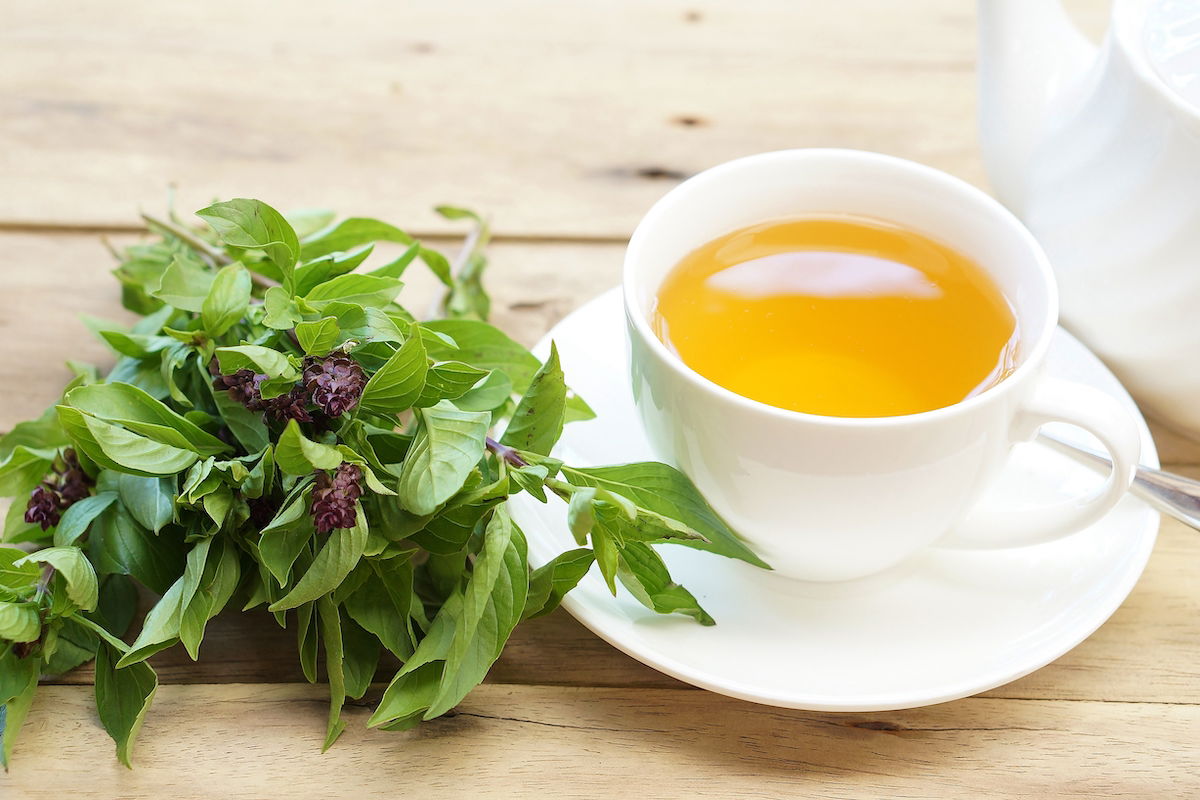 Té de Albahaca y Miel: Un Refugio Natural Contra el Estrés