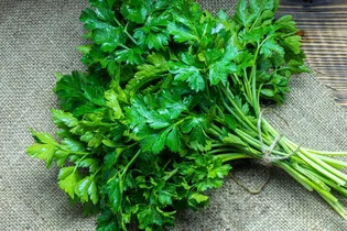 Illustrative image of the article 12 Parsley Benefits You Didn't Know (with Parsley Tea Recipe)