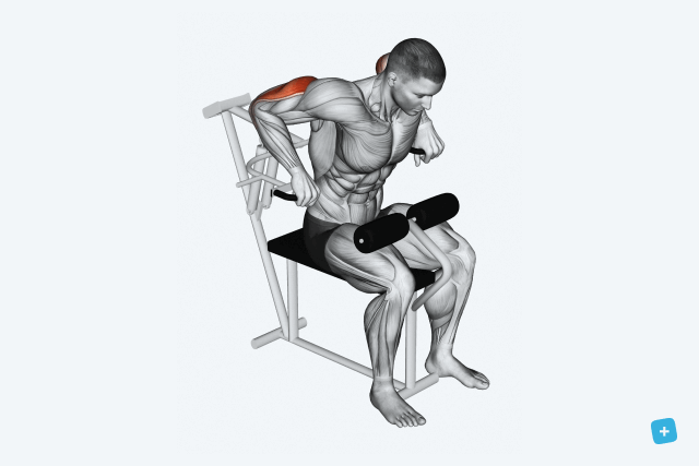 Imagem ilustrativa número 15