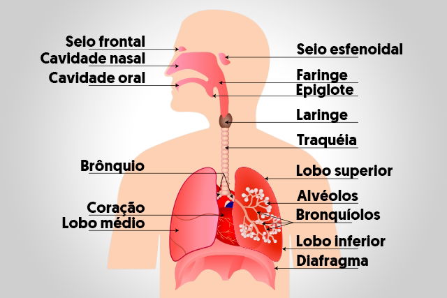 Imagem ilustrativa número 2