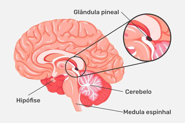 Imagem ilustrativa número 1