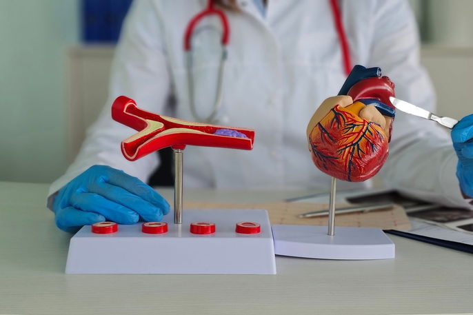 Imagem ilustrativa número 2