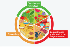 Imagen ilustrativa del artículo El Plato del Buen Comer: qué es, para qué sirve y cómo usarlo