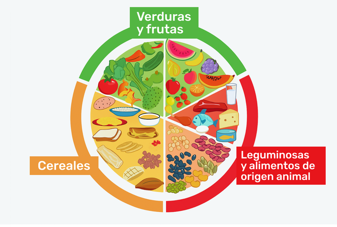 Dibujo del plato del buen comer
