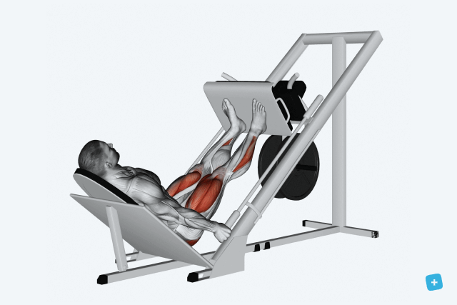 Imagen ilustrativa del artículo Leg press: qué es, para qué sirve y cómo se hace