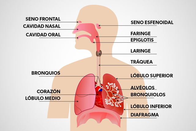 Imagem ilustrativa número 2