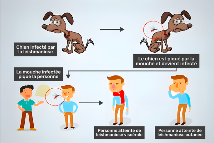 Imagem ilustrativa número 3
