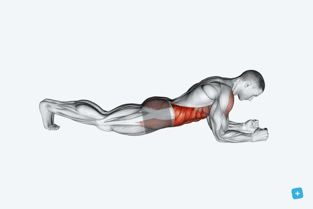 Imagem ilustrativa número 24