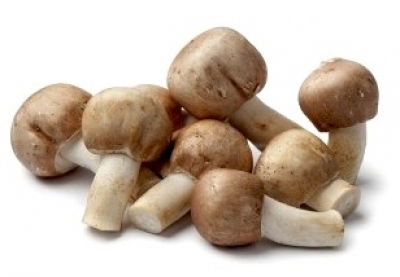 Imagem ilustrativa número 2