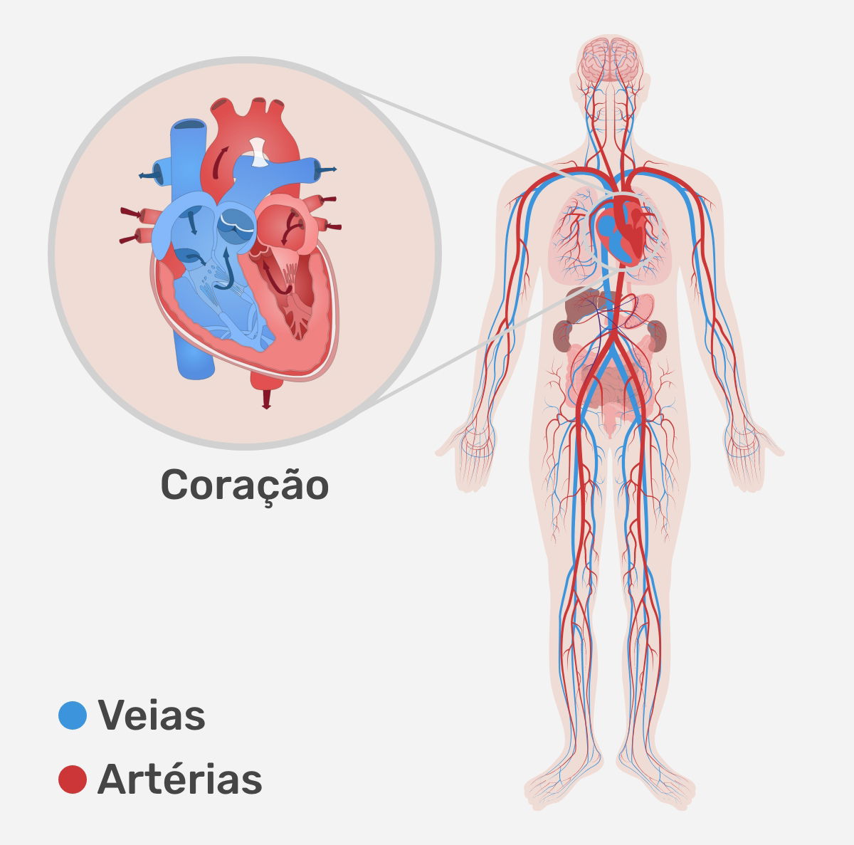 Imagem ilustrativa número 1