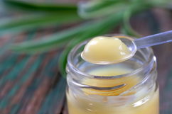 Imagem ilustrativa do artigo Geleia real: para que serve, benefícios (e como usar)