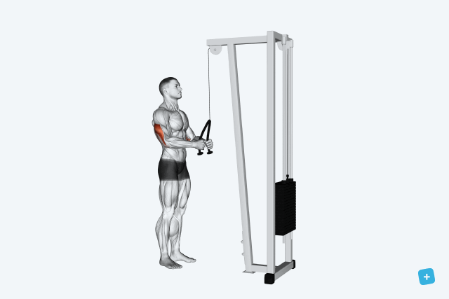 Imagem ilustrativa número 12