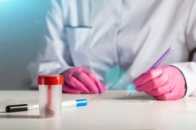 Imagem ilustrativa número 1