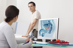 Image illustrative de l'article Prostate: fonctions, maladies fréquentes (et tests diagnostiques)