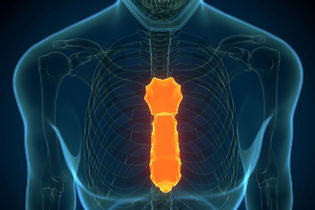 Illustrative image of the article Sternum Pain: Symptoms, What Causes It, Diagnosis & Treatment