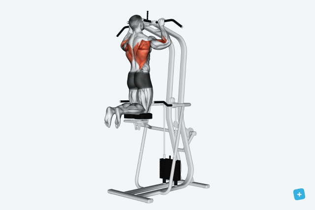 Imagem ilustrativa número 21