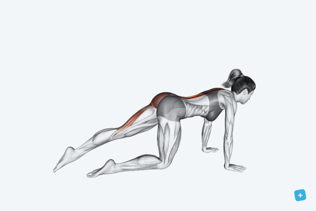 Imagem ilustrativa número 19