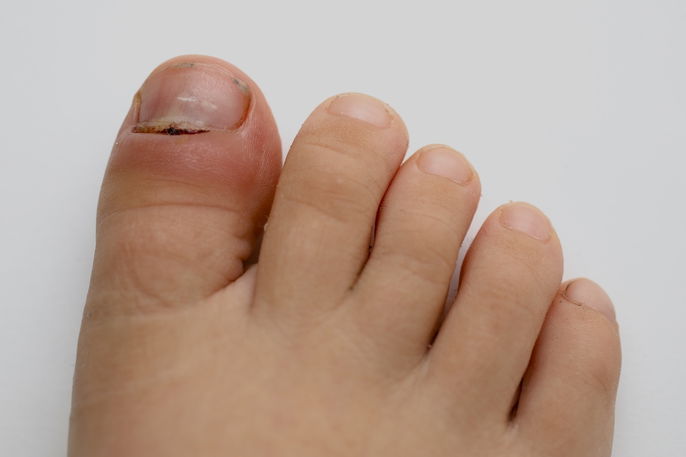 Imagem ilustrativa número 7