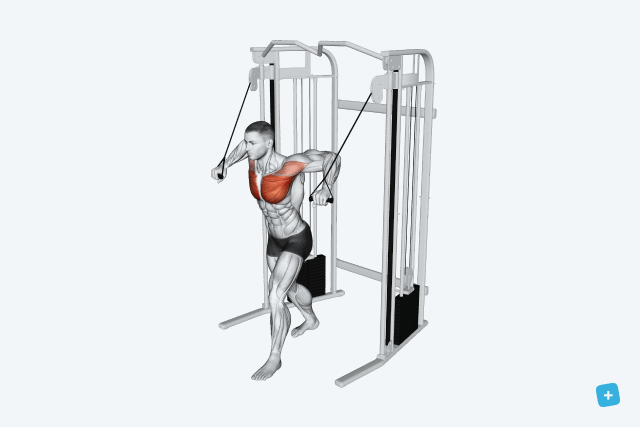 Illustrative image of the article Chest Workout: Top 5 Chest Exercises (with Animations)