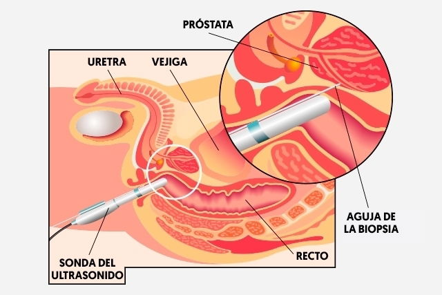 Imagem ilustrativa número 2