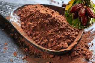 Imagen ilustrativa del artículo 13 beneficios del cacao, propiedades y cómo consumirlo