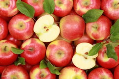 Imagen ilustrativa del artículo 12 beneficios de la manzana, propiedades (y cómo consumirla)