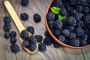 Illustrative image of the article 10 Health Benefits of Blackberries (w/ Easy Recipes)