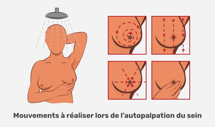 Imagem ilustrativa número 5