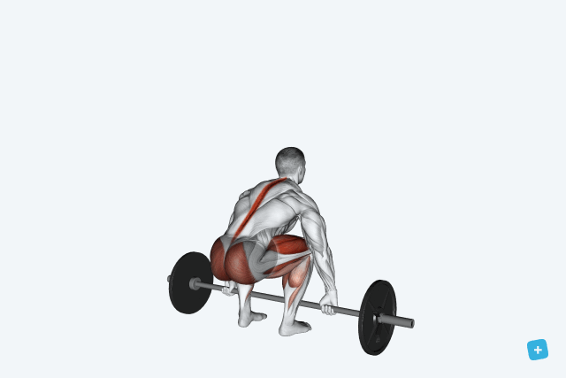 Imagem ilustrativa número 2