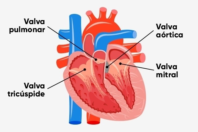 Imagem ilustrativa número 1