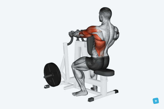 Imagem ilustrativa número 13