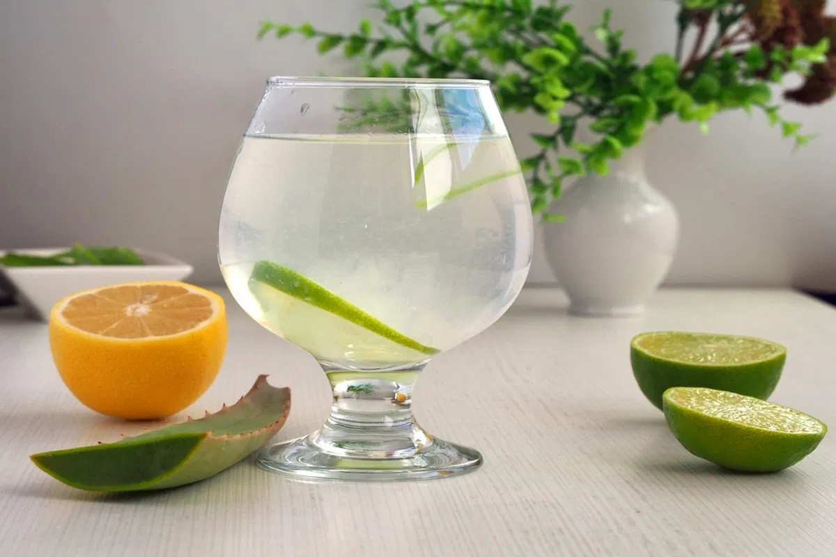 Suco de babosa: para que serve e como fazer (com passo a passo) - Tua Sade