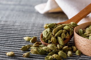 Illustrative image of the article Cardamom: What It's Used For, How to Use & Side Effects