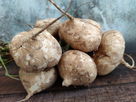 Illustrative image of the article Jicama: 7 Health Benefits, Nutrition & How to Eat (with Recipes)