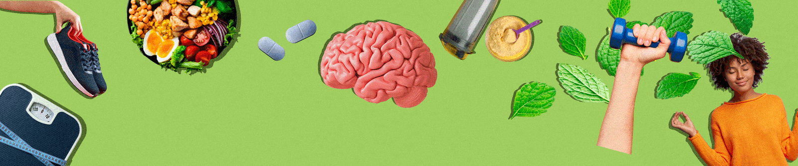 Imagem ilustrativa do tema Longevidade