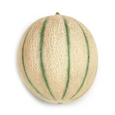 melón cantalupo