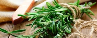 Illustrative image of the article Rosemary Tea: Top 10 Benefits & How to Make